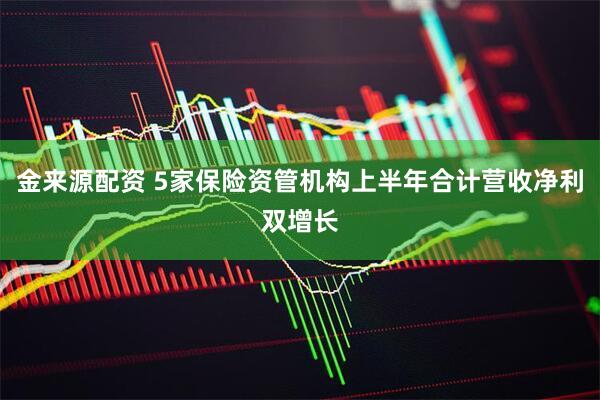 金来源配资 5家保险资管机构上半年合计营收净利双增长