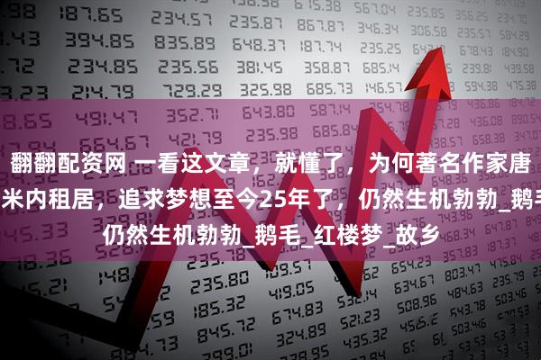 翻翻配资网 一看这文章，就懂了，为何著名作家唐国明，能在8平米内租居，追求梦想至今25年了，仍然生机勃勃_鹅毛_红楼梦_故乡