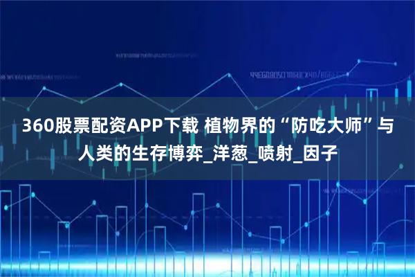 360股票配资APP下载 植物界的“防吃大师”与人类的生存博弈_洋葱_喷射_因子
