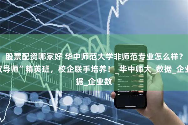 股票配资哪家好 华中师范大学非师范专业怎么样？“双导师”精英班，校企联手培养！_华中师大_数据_企业数