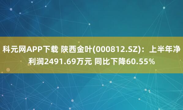科元网APP下载 陕西金叶(000812.SZ)：上半年净利润2491.69万元 同比下降60.55%
